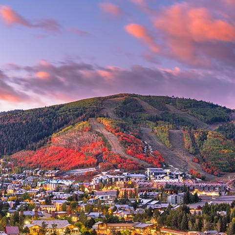 A city skyline with a majestic mountain in the background.