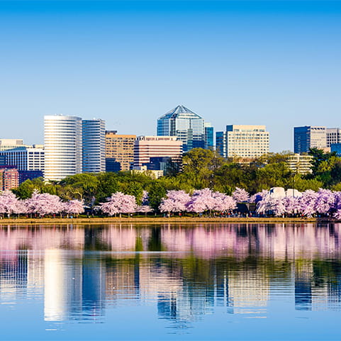 Water reflects the city skyline.