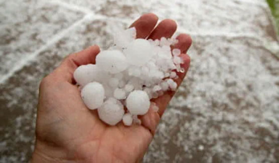 hand holding pellets of hail